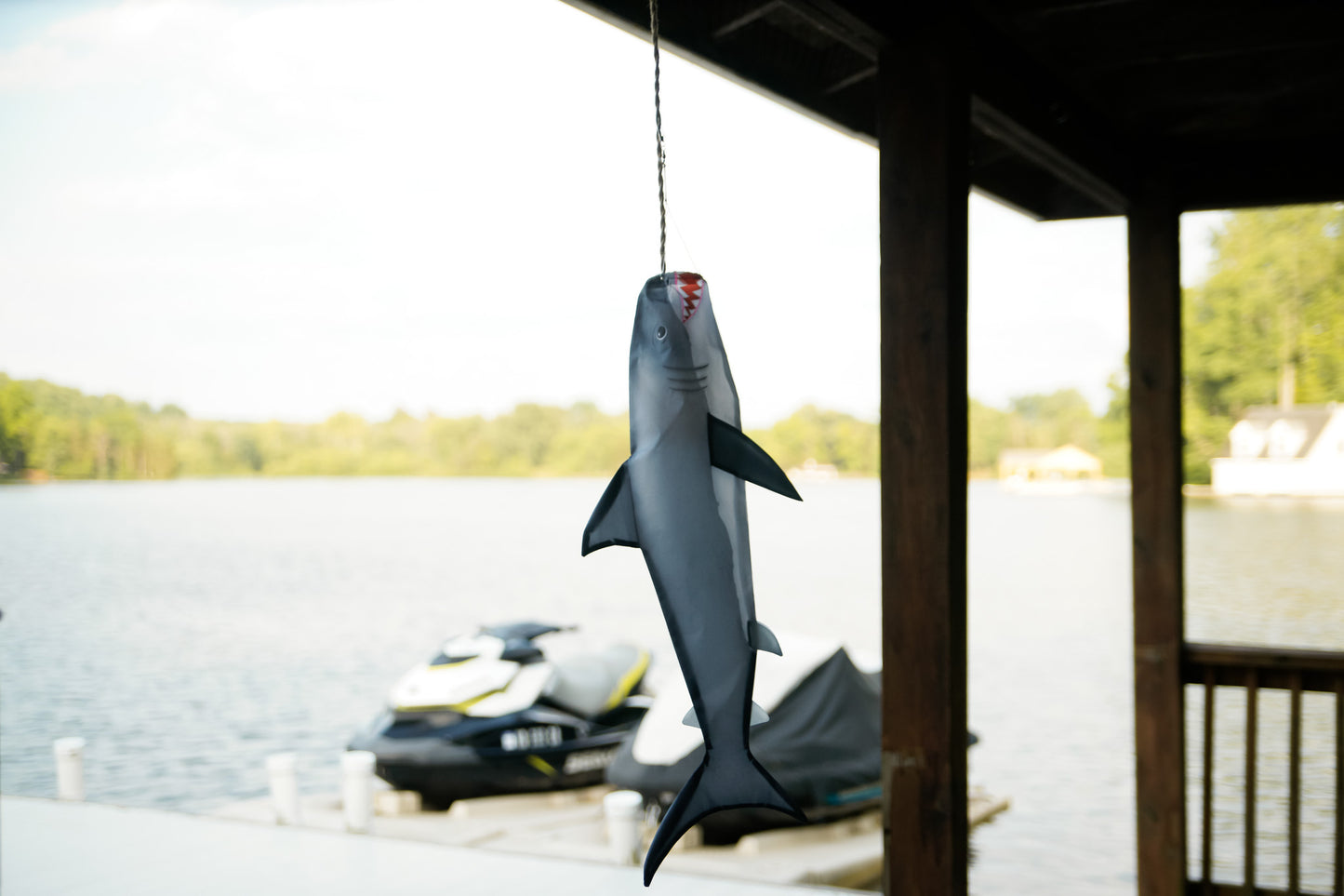 Baby Shark